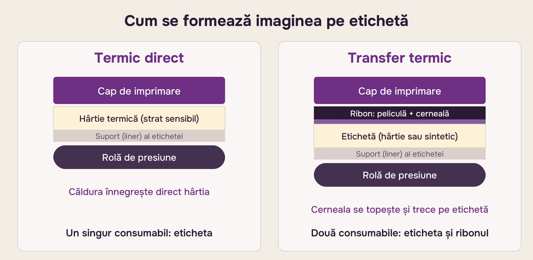 Schemă: în termicul direct capul încălzește direct hârtia termică, în transferul termic încălzește ribonul, iar cerneala trece pe etichetă